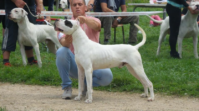 Heroïco di Casa Nardini